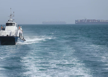 El valor del crudo en retroceso: el barril de petróleo acecha la barrera de los 80 dólares
