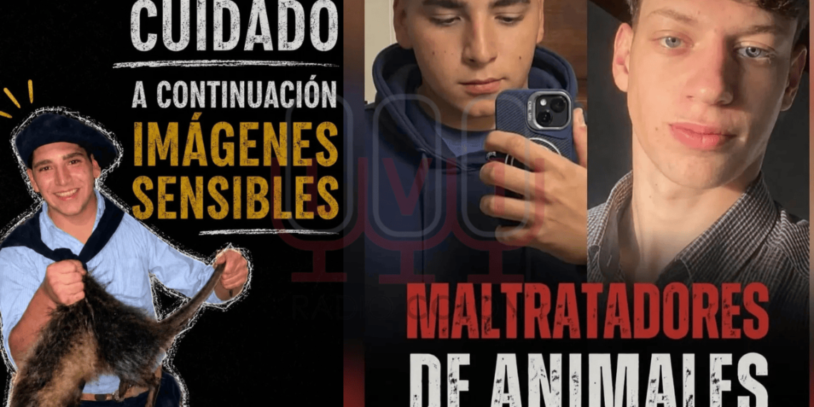 San Juan se moviliza en redes y exige justicia por la muerte de un carpincho en Bahía Blanca