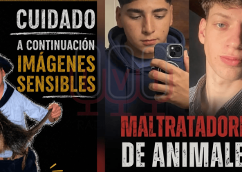 San Juan se moviliza en redes y exige justicia por la muerte de un carpincho en Bahía Blanca