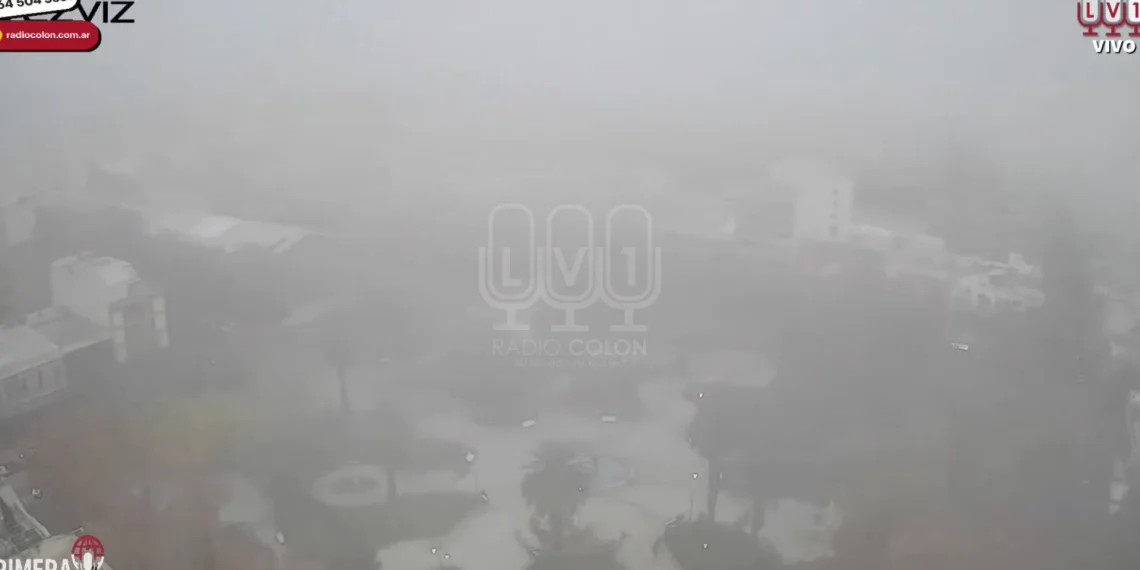 San Juan fantasma: la Plaza 25 de Mayo «desapareció» bajo una densa niebla