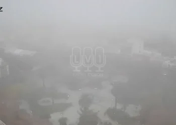 San Juan fantasma: la Plaza 25 de Mayo «desapareció» bajo una densa niebla