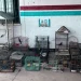 Golpe al tráfico de fauna en Pocito: Rescatan a 40 aves silvestres en cautiverio