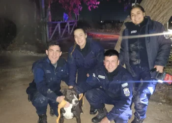 Insólito: la policía rescató a un perro que había sido atrapado por un ave gigante