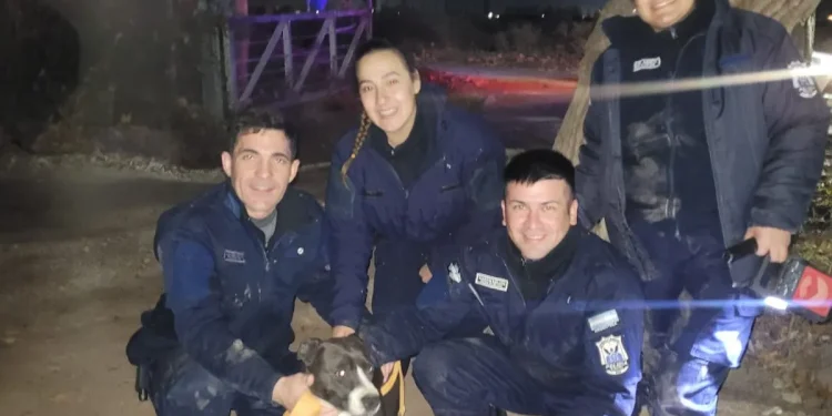 Insólito: la policía rescató a un perro que había sido atrapado por un ave gigante
