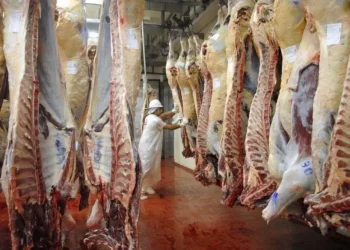 Boom exportador: creció un 369% la venta de carne argentina a los Estados Unidos