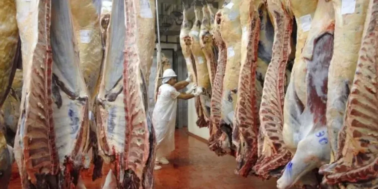 Boom exportador: creció un 369% la venta de carne argentina a los Estados Unidos