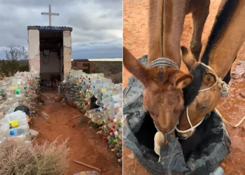 «Un milagro en medio de la nada»: el joven que recorre el país a caballo se quedó sin agua y la Difunta Correa lo salvó