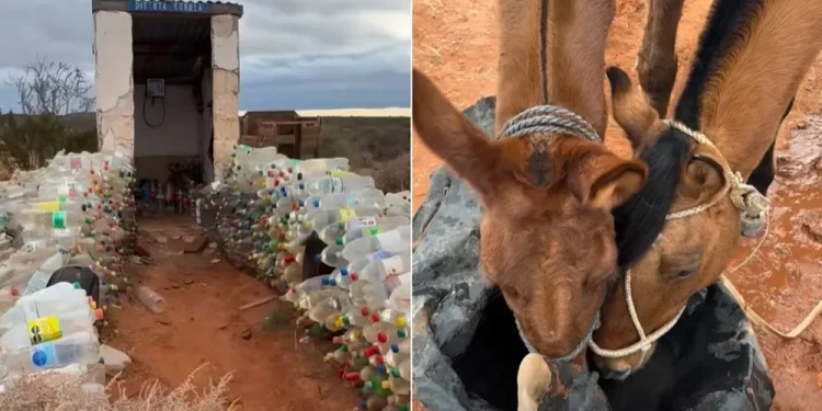 «Un milagro en medio de la nada»: el joven que recorre el país a caballo se quedó sin agua y la Difunta Correa lo salvó