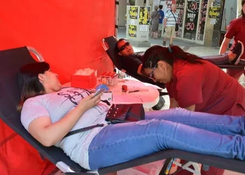 Colecta de sangre en el Parque de Mayo: una oportunidad para salvar hasta tres vidas