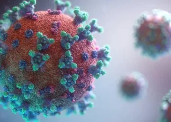 Alerta epidemiológica: se registraron nuevos casos de hantavirus en el país