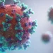 Alerta epidemiológica: se registraron nuevos casos de hantavirus en el país
