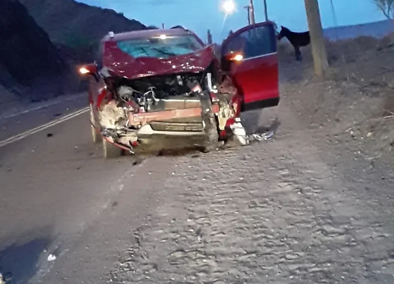 Siniestro vial en Calingasta: caballos sueltos provocaron un accidente sobre la Ruta Nacional 149