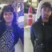 Robaron paquetes de galletas Fauna de un kiosco de la Terminal y terminaron presos