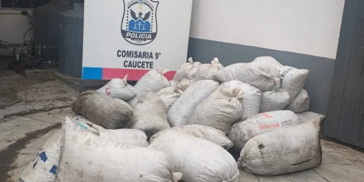 Sorpresa en Caucete: buscaban armas por un violento tiroteo y hallaron más de dos toneladas de pasas de uva robadas