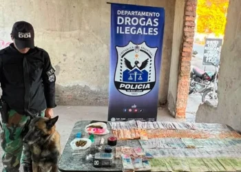Un perro antidrogas fue la clave para desarticular un «kiosco» a metros de una escuela en 25 de Mayo