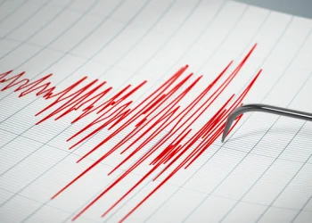 Un fuerte sismo de magnitud 4,9 se registró en San Juan y se sintió en cinco provincias
