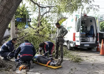 Sigue crítico el operario que cayó de un árbol durante una poda en Capital y analizan una nueva cirugía
