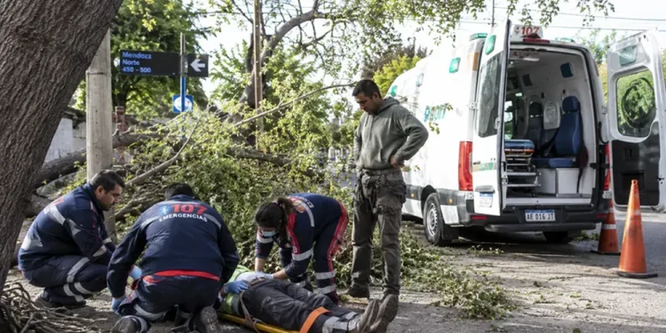 Sigue crítico el operario que cayó de un árbol durante una poda en Capital y analizan una nueva cirugía
