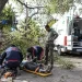 Sigue crítico el operario que cayó de un árbol durante una poda en Capital y analizan una nueva cirugía