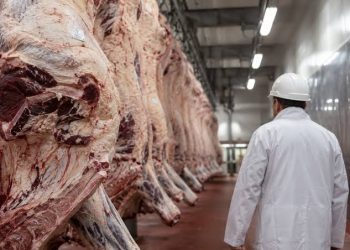 Histórico: las exportaciones de carne argentina a EE.UU. se dispararon un 369%