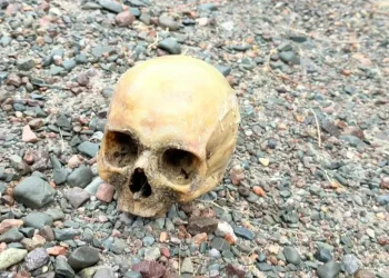 Hallaron un cráneo humano en el Dique Punta Negra e investigan la intervención de terceros