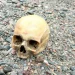 Hallaron un cráneo humano en el Dique Punta Negra e investigan la intervención de terceros