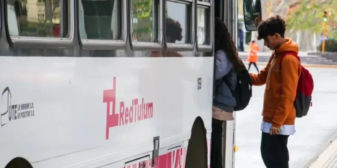Los detalles de la nueva Ley de Transporte: mayores controles a choferes y qué pasará con el boleto estudiantil
