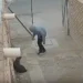 Inseguridad en Chimbas: un delincuente robó la bicicleta de una estudiante y un perro tuvo una insólita reacción