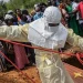 Preocupación mundial: alarma por un brote de ébola en el Congo que ya provocó más de 400 muertes