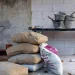 Golpe al trabajo en Albardón: delincuentes desvalijaron una obra en construcción en El Rincón