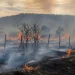 Alerta en Jáchal: el Zonda propagó un feroz incendio que arrasó tres hectáreas y hay tres detenidos