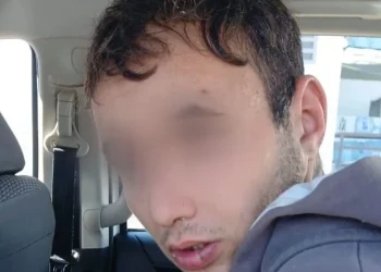 Entró a robar a una conocida empresa de hielo en Capital, volvió por más y terminó a las piñas con el guardia