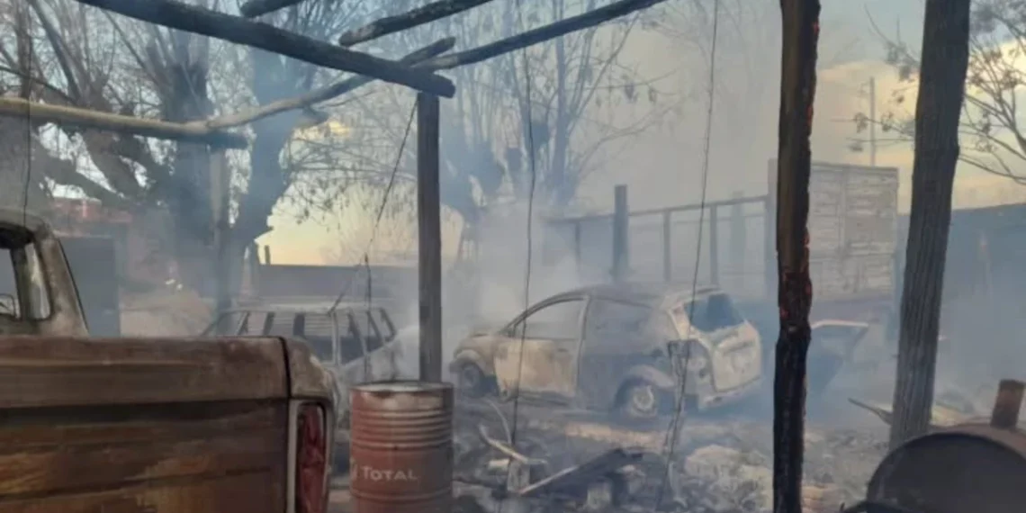 Tragedia y negligencia tras el Zonda: 35 incendios intencionales dejaron casas destruidas, animales calcinados y cuatro detenidos