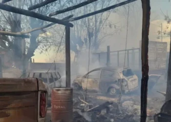Tragedia y negligencia tras el Zonda: 35 incendios intencionales dejaron casas destruidas, animales calcinados y cuatro detenidos
