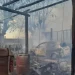 Tragedia y negligencia tras el Zonda: 35 incendios intencionales dejaron casas destruidas, animales calcinados y cuatro detenidos