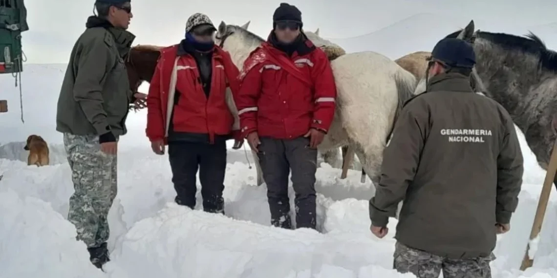 Gendarmes evacuaron a dos puesteros aislados por el intenso temporal de nieve en Iglesia