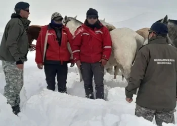 Gendarmes evacuaron a dos puesteros aislados por el intenso temporal de nieve en Iglesia