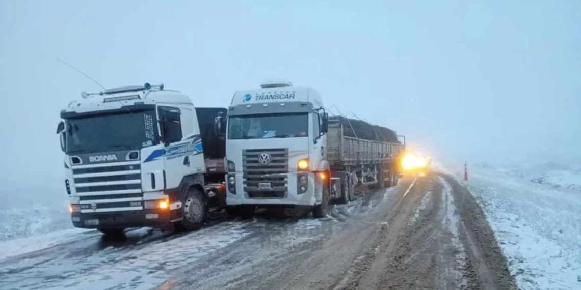 Siguen cerrados los pasos fronterizos Cristo Redentor y Pino Hachado por el temporal de nieve