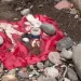 Misterio y conmoción en Rivadavia: hallan un insólito altar con velas y estatuillas en El Pinar