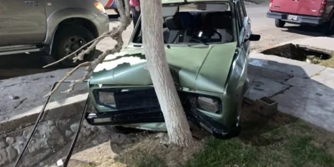 Manejaba con más de 2 gramos de alcohol en sangre, chocó contra un árbol e intentó escapar en Albardón