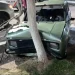 Manejaba con más de 2 gramos de alcohol en sangre, chocó contra un árbol e intentó escapar en Albardón