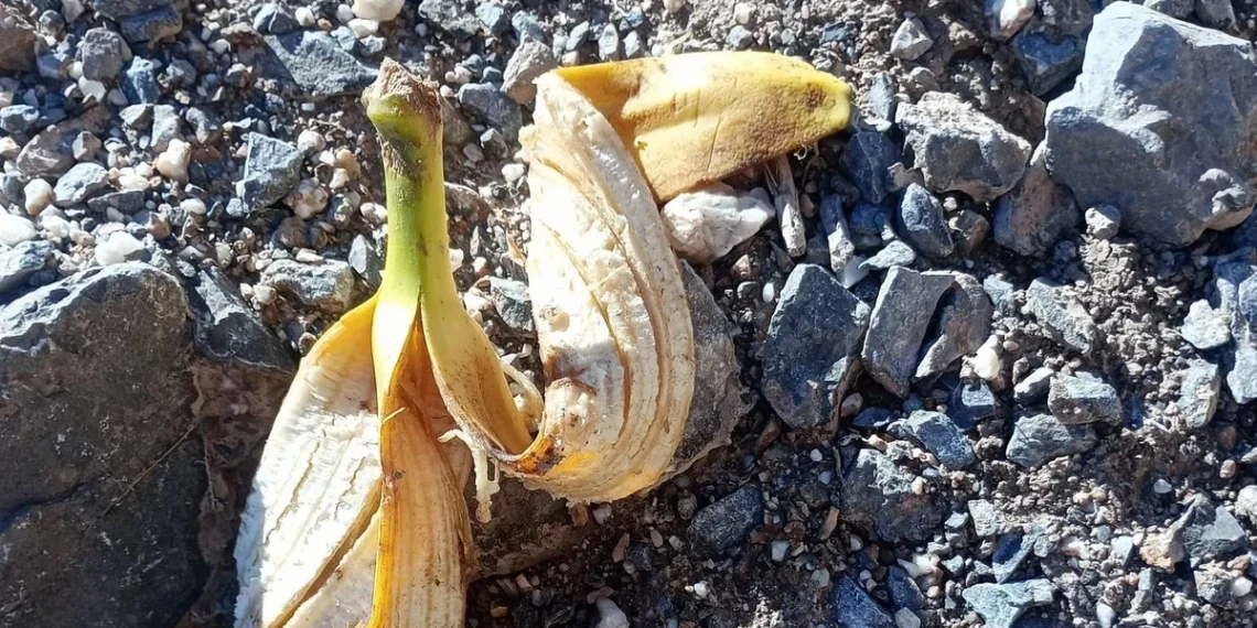 Una cáscara de banana abrió un intenso debate entre sanjuaninos