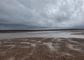 Restringen temporalmente el ingreso a la Pampa del Leoncito para proteger el Barreal Blanco