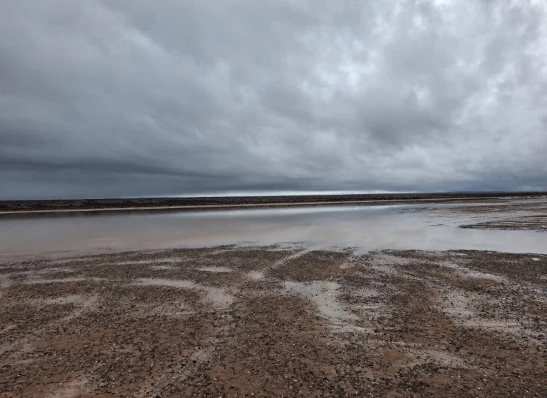 Restringen temporalmente el ingreso a la Pampa del Leoncito para proteger el Barreal Blanco