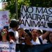 Convocan a una marcha en San Juan para exigir penas más duras de cumplimiento efectivo por maltrato animal