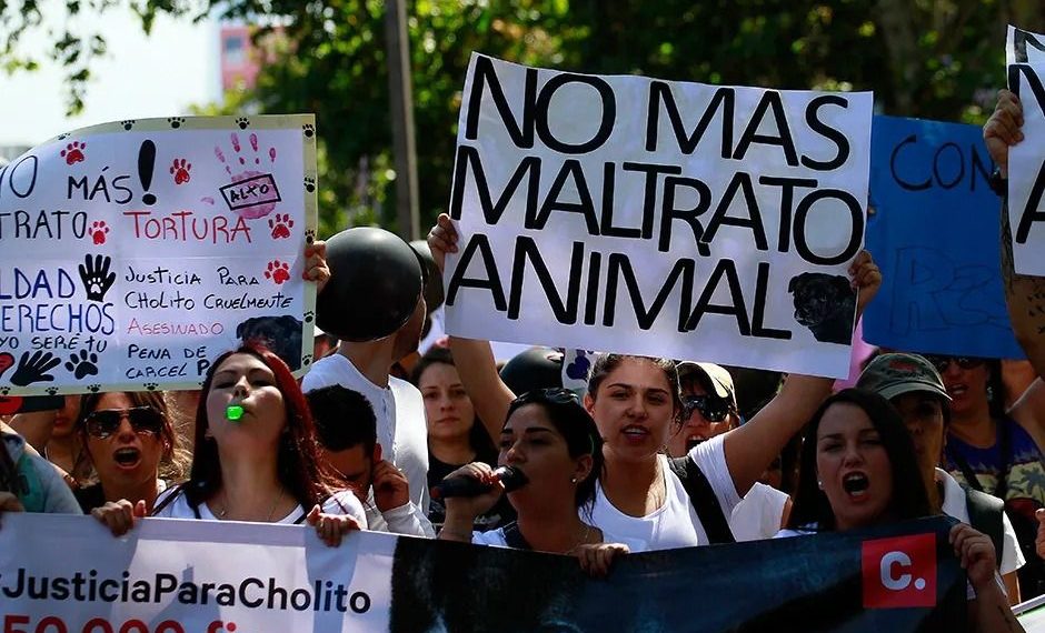Convocan a una marcha en San Juan para exigir penas más duras de cumplimiento efectivo por maltrato animal