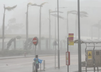 Tifón Bavi golpea Taiwán y pone en alerta máxima a China: más de 1,7 millones de evacuados