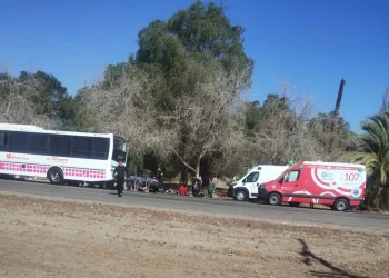 URGENTE: Fuerte choque de un colectivo de la Red Tulum en Ruta 20, a la altura de 9 de Julio
