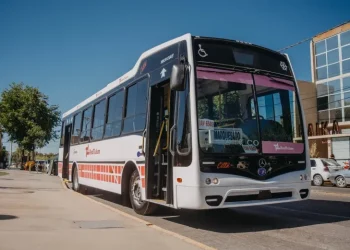 Redondos con el transporte: el Gobierno desmintió deudas con las empresas de colectivos y aclaró los plazos administrativos