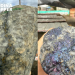 Avanza el mapa del cobre y el oro en San Juan: confirman un auspicioso hallazgo en Piuquenes Norte